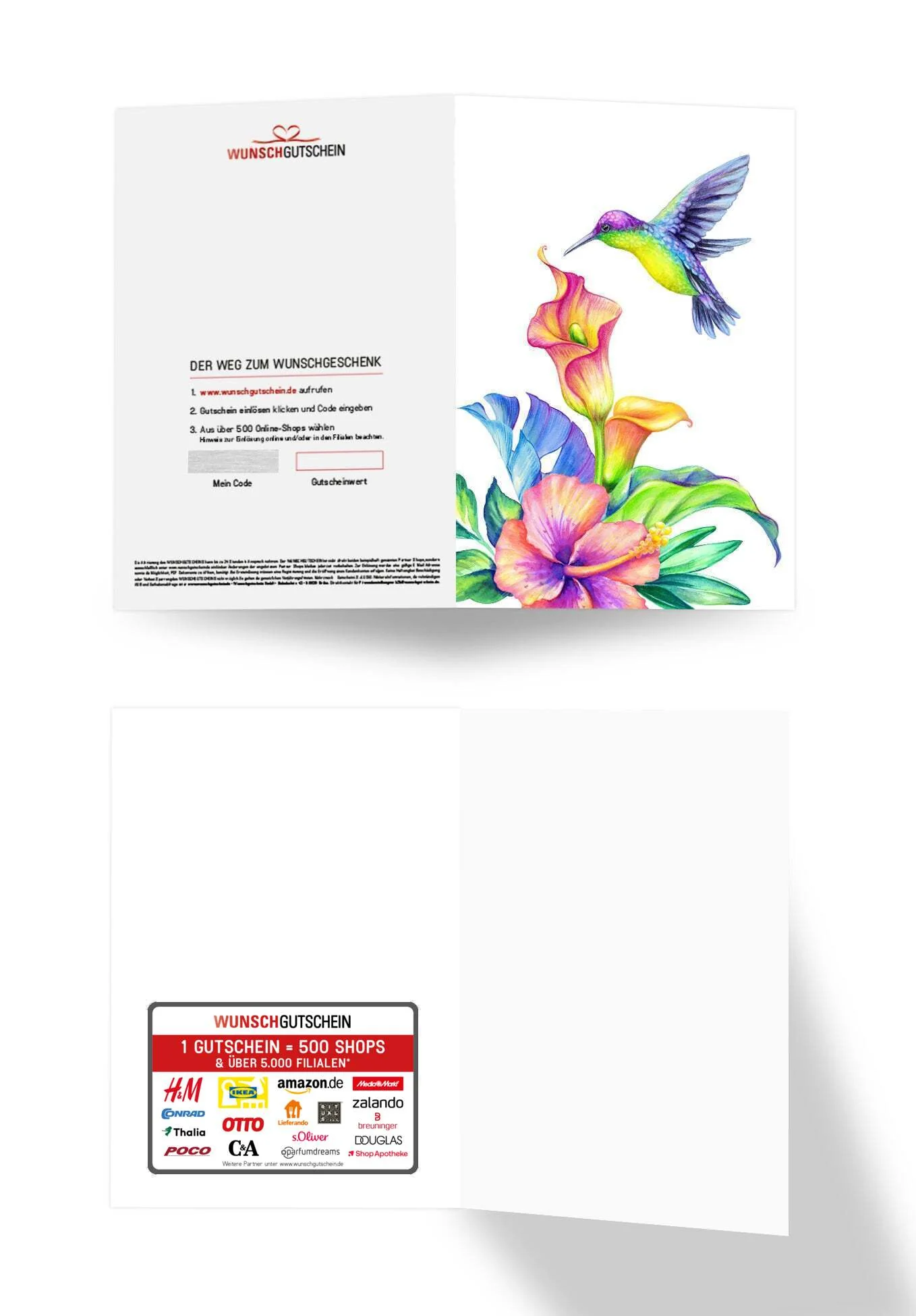 Kolibri Bunt - Image 3