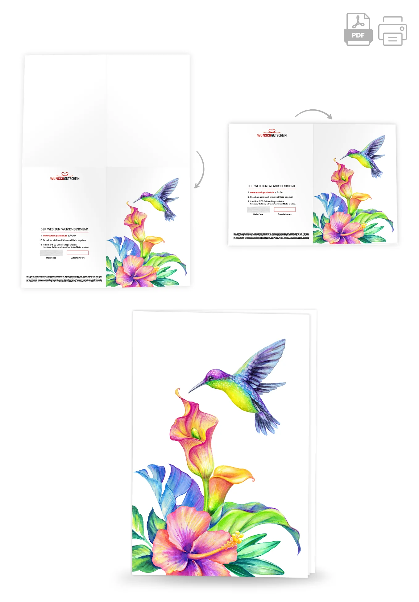 Kolibri Bunt - Image 4